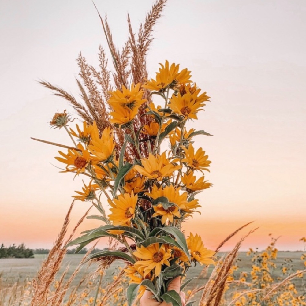 Meet your Posher, Kiera